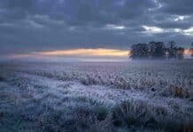 Qué tiempo hará este fin de semana: heladas, lluvias y frío bajo cero desde el viernes Fuerte helada sobre rastrojo y pasturas en un campo de la Pampa Húmeda argentina al amanecer, con cielo cubierto y ambiente frío de ingreso invernal