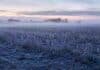Heladas, nieblas y vientos con ráfagas: cómo cierra mayo para el campo Campo agrícola de la pampa argentina cubierto por una fuerte helada al amanecer, con rastrojo de soja, niebla baja y ambiente invernal.
