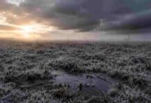 Heladas y tiempo inestable: cómo llega el otoño al campo esta semana Campo de la región pampeana cubierto por heladas al amanecer, con escarcha sobre rastrojos y cielo inestable durante una jornada fría de otoño en Argentina