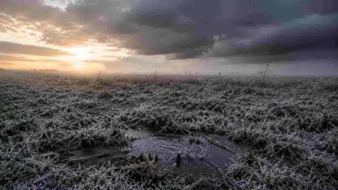 heladas-campo-pampa-humeda-otono-inestable-ruralnet Campo de la región pampeana cubierto por heladas al amanecer, con escarcha sobre rastrojos y cielo inestable durante una jornada fría de otoño en Argentina