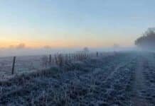 Mínimas de -2°C y neblinas complican al campo: las zonas más afectadas hasta el sábado Campo argentino cubierto por heladas y neblina al amanecer, con camino rural y tractor a lo lejos en una mañana de intenso frío.