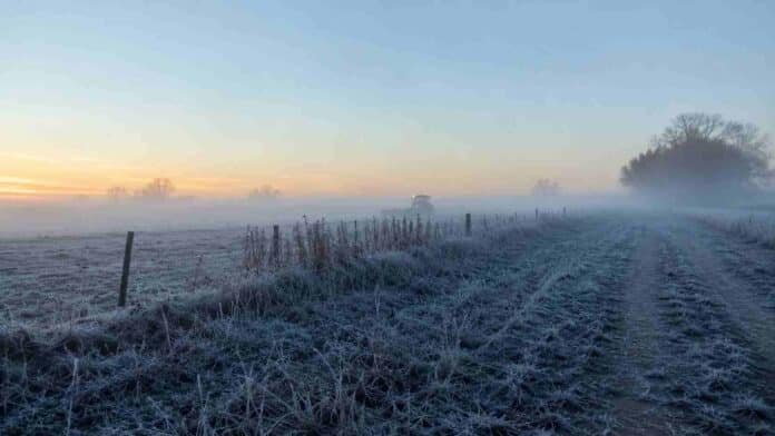 heladas-neblinas-frio-campo-argentino-mayo-ruralnet Campo argentino cubierto por heladas y neblina al amanecer, con camino rural y tractor a lo lejos en una mañana de intenso frío.