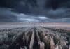 Heladas, frío intenso y cielos cargados: el pronóstico agropecuario completo para el 20, 21 y 22 de mayo en la Argentina Campo agrícola argentino cubierto de heladas intensas bajo un cielo oscuro y cargado de nubes, representando el pronóstico de frío intenso para el 20, 21 y 22 de mayo