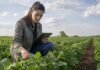 Los ingenieros agrónomos argentinos ganan hasta un 61% menos que sus pares en el exterior y la brecha de género llega al 72% Ingeniera agrónoma inspecciona un cultivo en el campo con una tablet, en una recorrida técnica para evaluar el estado del lote y el manejo agronómico.