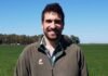 Rinde de indiferencia en 5 t y costos en alza: la estrategia que puede definir la campaña de trigo Ingeniero agrónomo en un lote de trigo en crecimiento en campo argentino, evaluando el cultivo bajo cielo despejado y condiciones productivas.