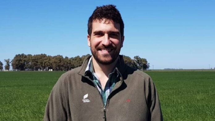Ingeniero agrónomo en un lote de trigo en crecimiento en campo argentino, evaluando el cultivo bajo cielo despejado y condiciones productivas.