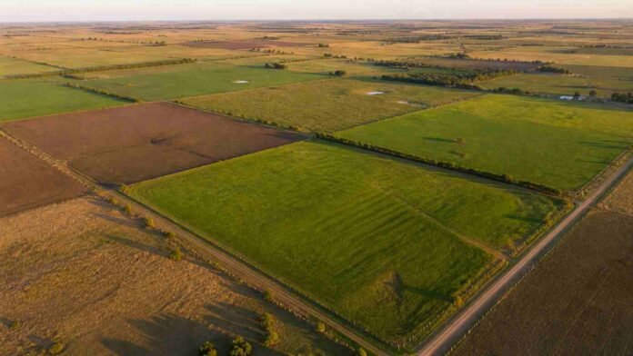 Vista aérea de lotes rurales con campos agrícolas delimitados y caminos en zona productiva argentina