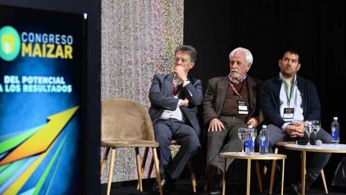 Panel de especialistas durante el Congreso Maizar 2026 analizando el potencial del maíz en la Patagonia para impulsar la producción ganadera y el desarrollo regional.