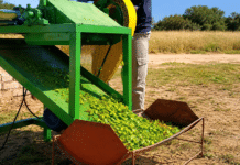INTA La Rioja desarrolló una máquina picadora de tuna para mejorar la alimentación ganadera en zonas áridas Máquina picadora procesando material vegetal en un establecimiento rural argentino durante una jornada de trabajo en el campo.