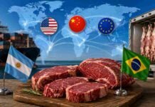 Rosgan alerta: cambios en EE.UU., China y Europa amenazan la posición privilegiada de la carne argentina en el mundo Escena conceptual del comercio internacional de carne vacuna con exportaciones argentinas y brasileñas hacia Estados Unidos, China y la Unión Europea.