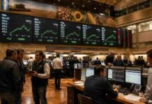 Soja firme, maíz a la baja y Chicago en rojo: cómo cerró el mercado de granos esta semana Operadores y corredores trabajando en una moderna bolsa de comercio de granos en Argentina con pantallas de cotizaciones de soja y maíz en tiempo real