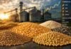 Granos: cerró una nueva semana de actividad en el mercado de granos local, con la soja acaparando el grueso de la operatoria y sosteniendo valores estables entre sesiones, mientras que el trigo y el maíz no presentaron novedades significativas Mercado de granos y commodities agrícolas con soja, maíz, trigo y girasol frente a silos, gráficos financieros y cotizaciones internacionales.
