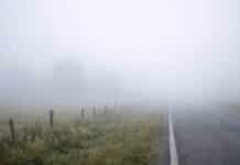 Alerta violeta por niebla densa en el Gran Buenos Aires, La Plata y la costa bonaerense: visibilidad reducida y recomendación de no circular Campo cubierto de niebla densa con una ruta asfaltada al costado, visibilidad menor a 50 metros