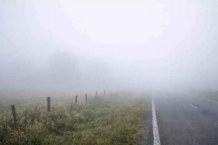 niebla_campo_ruta Campo cubierto de niebla densa con una ruta asfaltada al costado, visibilidad menor a 50 metros