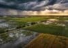 El Niño se intensifica y JP Morgan lanza una advertencia clave para el campo argentino Vista aérea de la región pampeana con campos de soja y maíz afectados por lluvias y exceso hídrico bajo un cielo de tormenta con claros de sol, representando el impacto del fenómeno El Niño en el agro argentino.