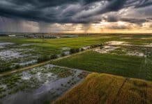 El Niño se intensifica y JP Morgan lanza una advertencia clave para el campo argentino Vista aérea de la región pampeana con campos de soja y maíz afectados por lluvias y exceso hídrico bajo un cielo de tormenta con claros de sol, representando el impacto del fenómeno El Niño en el agro argentino.