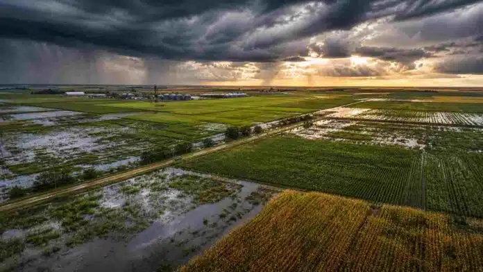 Vista aérea de la región pampeana con campos de soja y maíz afectados por lluvias y exceso hídrico bajo un cielo de tormenta con claros de sol, representando el impacto del fenómeno El Niño en el agro argentino.