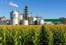 El Gobierno fijó los precios de los biocombustibles para mayo: sube el bioetanol de caña y baja el biodiésel Planta de bioetanol junto a un cultivo de maíz en campo argentino, con silos industriales y cultivo en desarrollo bajo cielo despejado.