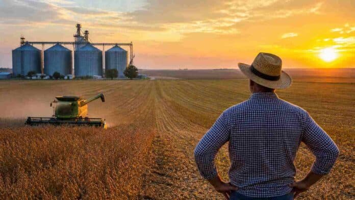 Productor rural observando lote de cosecha con silos de granos al fondo en campo agrícola argentino