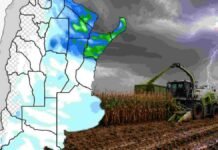 Pronóstico de lluvias hasta el 1 de junio Mapa meteorológico con zonas de lluvias y tormentas sobre Argentina junto a una picadora de maíz trabajando en un campo embarrado bajo cielo tormentoso.