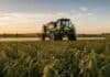 Prohíben el paraquat en soja y avanzan sobre los agrónomos que lo indiquen en Uruguay Pulverizadora autopropulsada aplicando fitosanitarios sobre un cultivo de soja en estadio R7 en la pampa húmeda argentina, con luz de atardecer y condiciones de campo productivo.