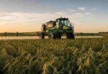 Prohíben el paraquat en soja y avanzan sobre los agrónomos que lo indiquen en Uruguay Pulverizadora autopropulsada aplicando fitosanitarios sobre un cultivo de soja en estadio R7 en la pampa húmeda argentina, con luz de atardecer y condiciones de campo productivo.
