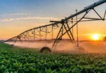 El riego gana terreno en Santa Fe: ensayos muestran subas de hasta 115% en los rindes Sistema de riego por pivot central aplicando agua sobre un cultivo agrícola al atardecer en un campo del norte argentino.