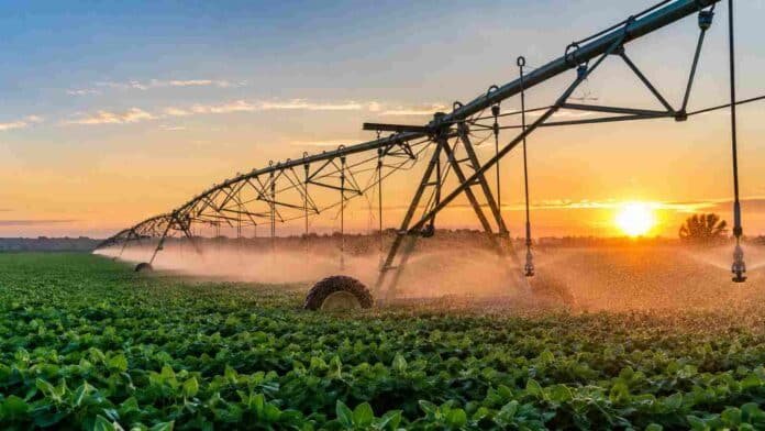 Sistema de riego por pivot central aplicando agua sobre un cultivo agrícola al atardecer en un campo del norte argentino.