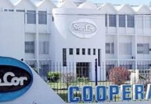 Quiebra de Sancor: Adecoagro, Savencia y tres empresas más se presentaron como interesadas en comprar la cooperativa y hay un “tapado” sorpresivo Frente de la planta de SanCor, empresa láctea argentina vinculada a la producción lechera y cooperativa.