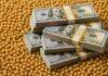 El agro aportaría más de US$ 36.000 millones en 2026 y vuelve a convertirse en el gran sostén de dólares de Argentina Montones de granos de soja con varios fajos de billetes de 100 dólares apilados encima, representando el valor económico y las exportaciones del complejo sojero.