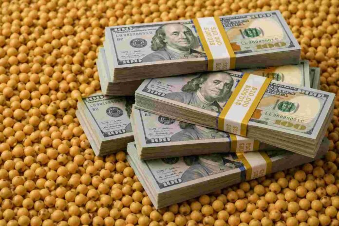 soja-dolares-billetes-mercado-agricola-ruralnet Montones de granos de soja con varios fajos de billetes de 100 dólares apilados encima, representando el valor económico y las exportaciones del complejo sojero.