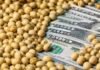 Retenciones y distancia al puerto: la carga tributaria agrícola aplasta más a los productores de zonas extrapampeanas Granos de soja sobre billetes de dólar estadounidense en una composición agrofinanciera vinculada al mercado de exportaciones y retenciones del agro argentino.