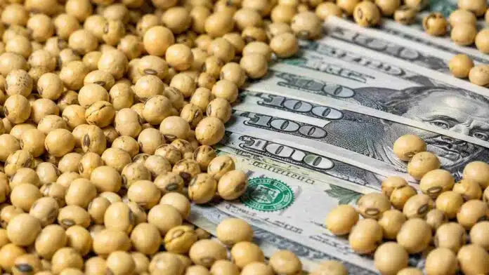 Granos de soja sobre billetes de dólar estadounidense en una composición agrofinanciera vinculada al mercado de exportaciones y retenciones del agro argentino.