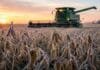 Heladas generalizadas en la región pampeana: el pronóstico agropecuario del 23 al 25 de mayo ote de soja cubierto por helada al amanecer, con una cosechadora al fondo trabajando bajo un cielo frío en la región pampeana.