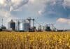 Soja a la baja y cereales estables: el mercado físico de Rosario operó con volumen moderado este martes Campo de soja en etapa R7 a punto de cosecha en primer plano, con terminales y silos portuarios de granos en Rosario al fondo junto al río Paraná