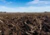 Debate en A Todo Trigo: todos coinciden en que los suelos de Buenos Aires se degradan, pero el sector teme que una ley se convierta en un impuesto Suelo agrícola de la provincia de Buenos Aires con rastrojos y horizonte pampeano bajo cielo parcialmente nublado.