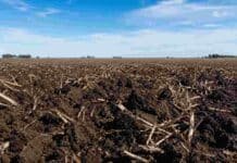 Debate en A Todo Trigo: todos coinciden en que los suelos de Buenos Aires se degradan, pero el sector teme que una ley se convierta en un impuesto Suelo agrícola de la provincia de Buenos Aires con rastrojos y horizonte pampeano bajo cielo parcialmente nublado.