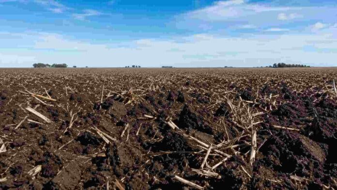 Suelo agrícola de la provincia de Buenos Aires con rastrojos y horizonte pampeano bajo cielo parcialmente nublado.