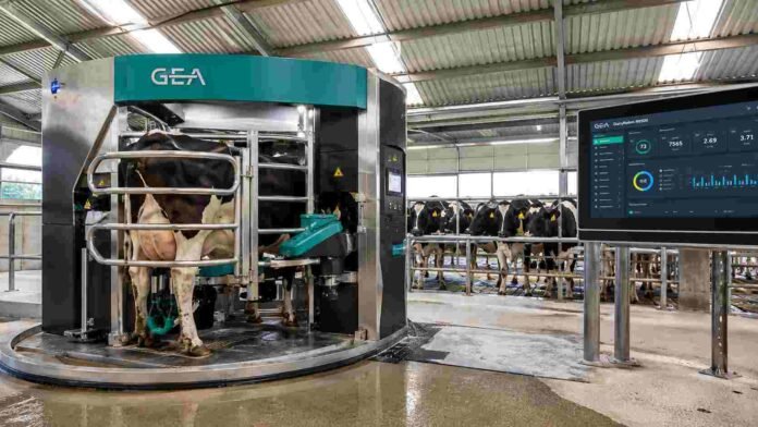 Sistema de ordeñe automatizado en un tambo robotizado con vacas lecheras y monitoreo digital de producción en Argentina.