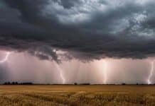 El fin de semana arranca con tormentas fuertes y cierra con inestabilidad en toda la región pampeana Tormenta eléctrica intensa sobre campos de la pampa húmeda argentina, con múltiples rayos, nubes oscuras y lluvia avanzando en el horizonte.