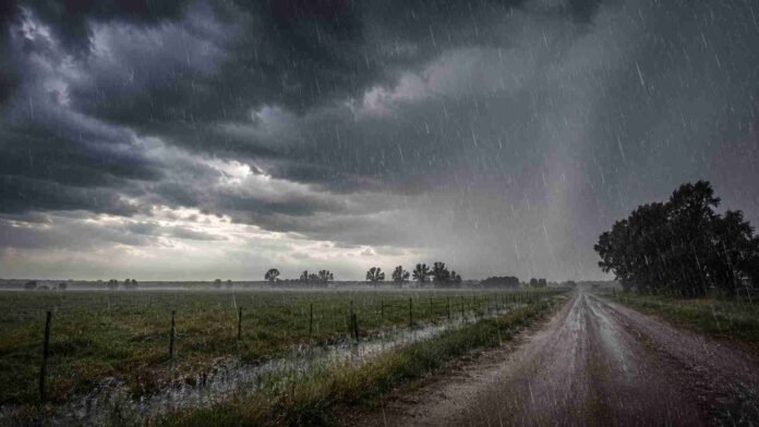 tormenta-lluvia-campo-ruralnet Tormenta intensa con lluvia sobre un camino rural y campos inundados bajo un cielo oscuro cargado de nubes en la región pampeana argentina.