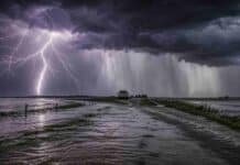 ⚠️ Hasta 90 mm y tormentas fuertes: 7 provincias bajo alerta por lluvias intensas Tormenta severa con lluvias intensas en zona rural argentina, camino inundado con pickup a lo lejos y relámpago ramificado bajo nubes oscuras y cortinas de lluvia