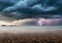 El SMN prevé tormentas en el norte y nieblas en la pampa para jueves, viernes y sábado Tormenta intensa con relámpagos sobre campos de la pampa húmeda argentina, con niebla baja cubriendo el rastrojo agrícola en primer plano.