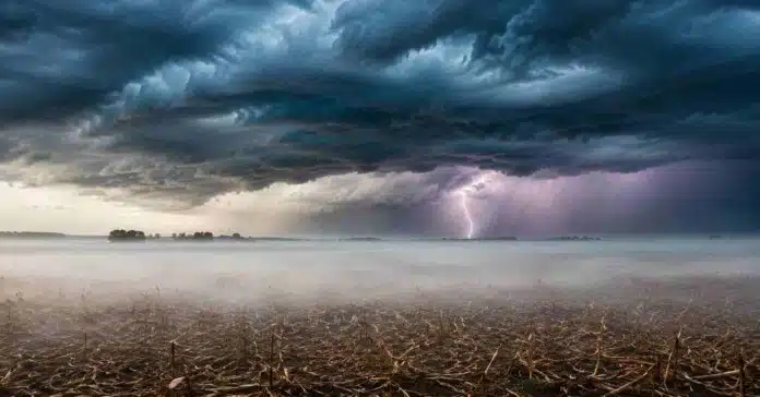 tormenta-niebla-campo-pampa-humeda-ruralnet Tormenta intensa con relámpagos sobre campos de la pampa húmeda argentina, con niebla baja cubriendo el rastrojo agrícola en primer plano.
