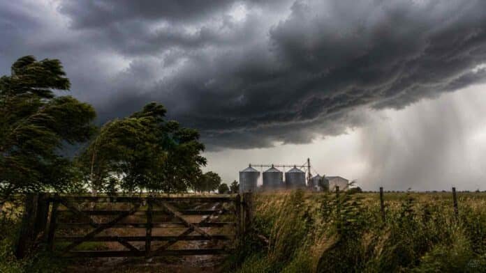 Tormenta severa con fuertes vientos y lluvias sobre campo rural con tranquera y silos al fondo en Argentina