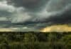 Tormentas fuertes y granizo amenazan el NEA: hay alerta amarilla Cielo tormentoso con nubes cumulonimbus oscuras, rayos a lo lejos y vegetación subtropical movida por el viento en una llanura del noreste argentino