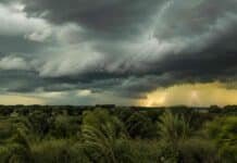 Tormentas fuertes y granizo amenazan el NEA: hay alerta amarilla Cielo tormentoso con nubes cumulonimbus oscuras, rayos a lo lejos y vegetación subtropical movida por el viento en una llanura del noreste argentino