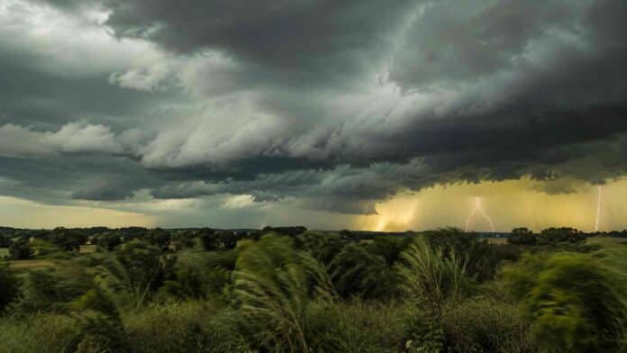 tormenta-severa-noreste-argentino-rayos-ruralnet Cielo tormentoso con nubes cumulonimbus oscuras, rayos a lo lejos y vegetación subtropical movida por el viento en una llanura del noreste argentino