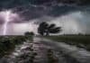 🌬️ Ráfagas de hasta 80 km/h y lluvias persistentes golpean la Costa Atlántica y el AMBA Tormenta severa en campo bonaerense con camino rural inundado, cultivos doblados por el viento y relámpagos bajo un cielo de nubes oscuras y lluvias intensas