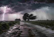 🌬️ Ráfagas de hasta 80 km/h y lluvias persistentes golpean la Costa Atlántica y el AMBA Tormenta severa en campo bonaerense con camino rural inundado, cultivos doblados por el viento y relámpagos bajo un cielo de nubes oscuras y lluvias intensas